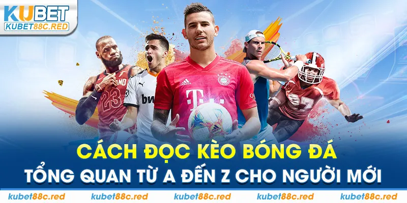 Cách Đọc Kèo Bóng Đá: Tổng Quan Từ A Đến Z Cho Người Mới